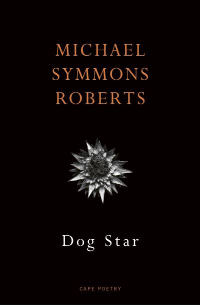 Dog Star